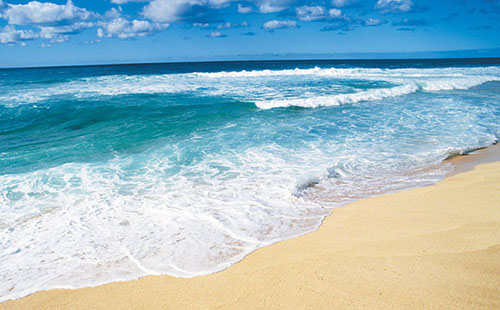 上海梓意海水淡化消泡劑 上海梓意海水淡化消泡劑